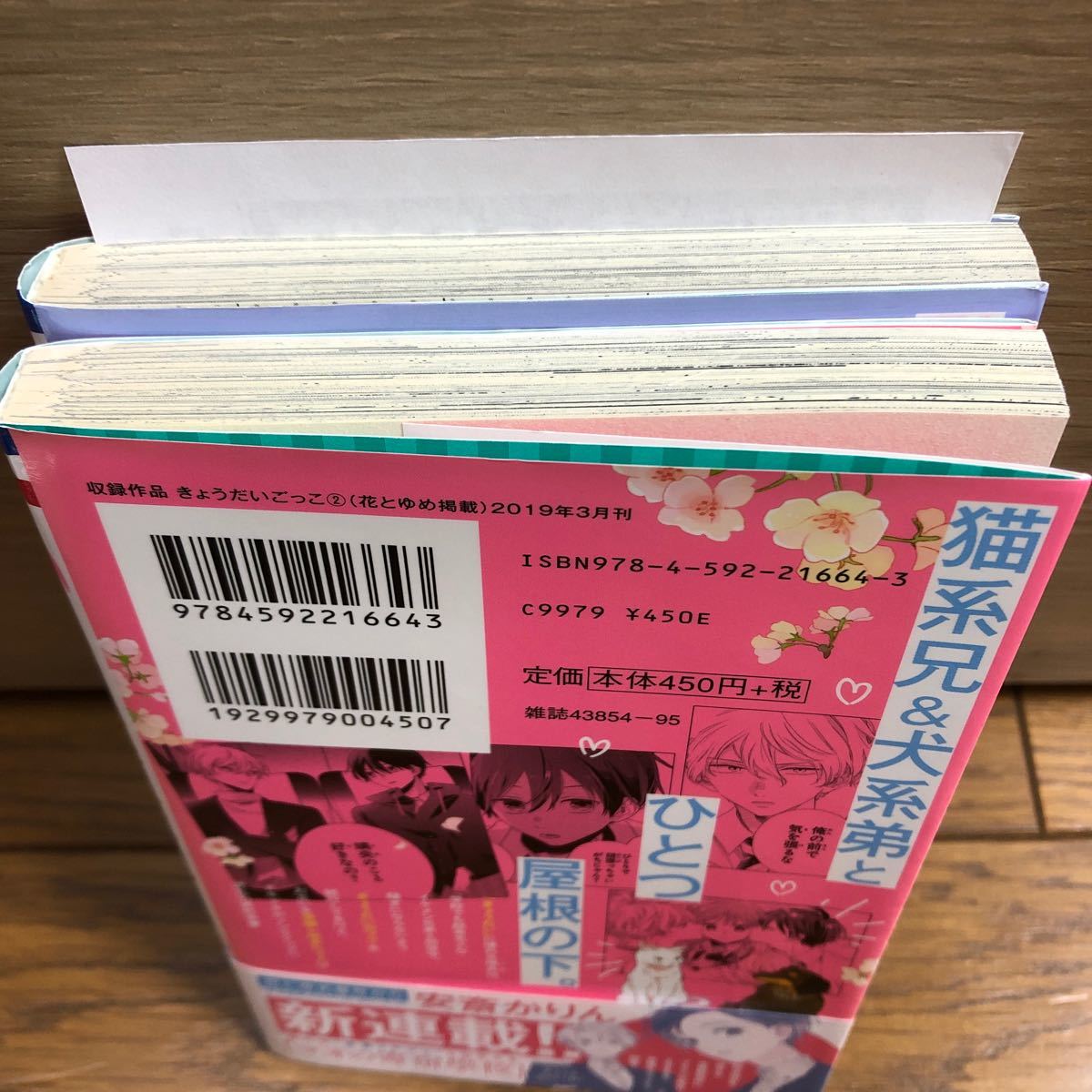 149円 【SALE/61%OFF】 きょうだいごっこ 1 2 149円 【SALE/61%OFF】 きょうだいごっこ 1 2