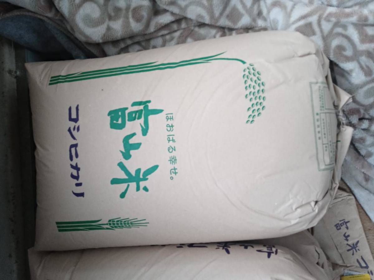 令和３年産　コシヒカリ玄米　３０㎏　富山米_画像1