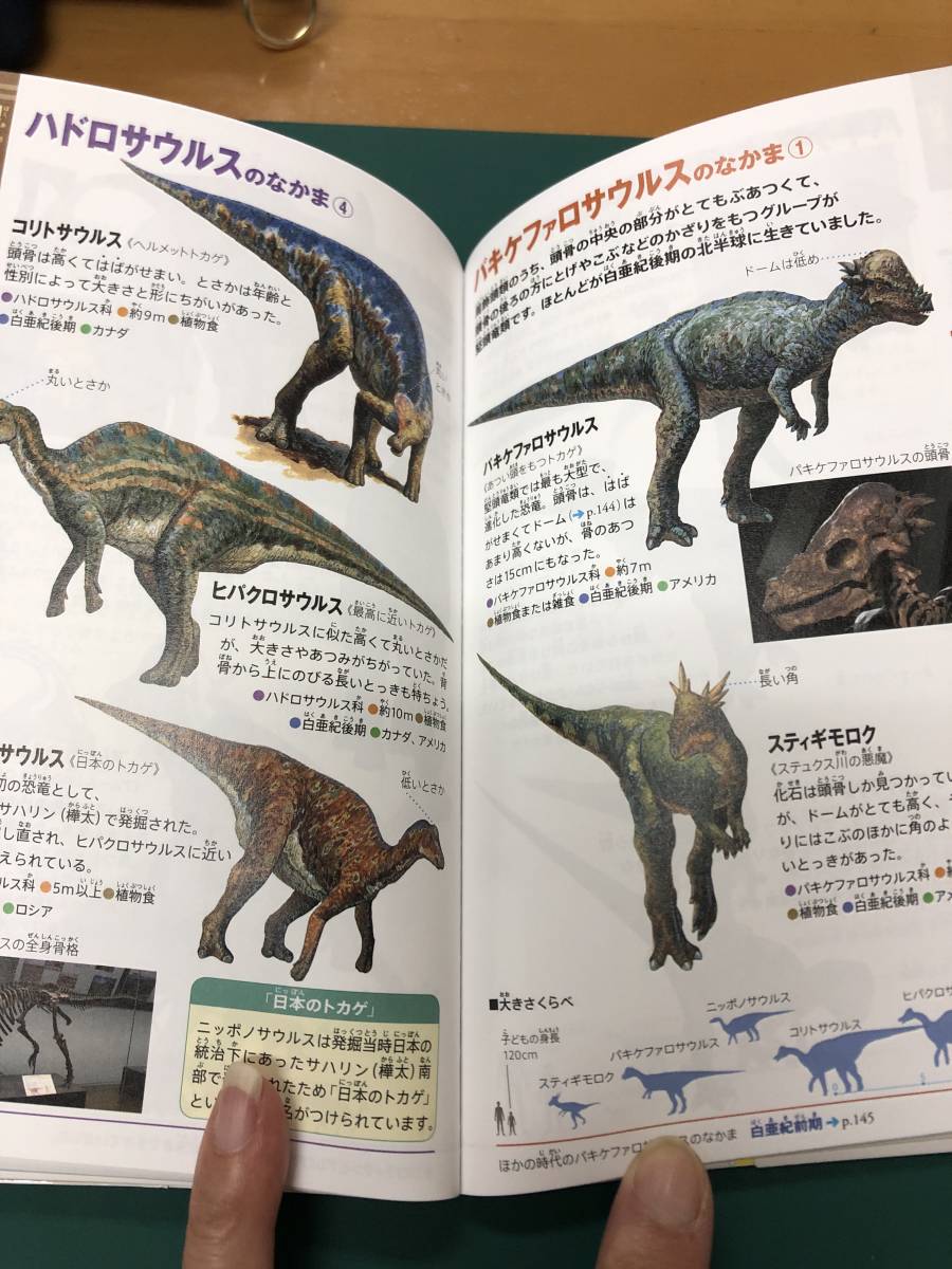 小学館の図鑑　NEO POCKET 恐竜　限定カバー