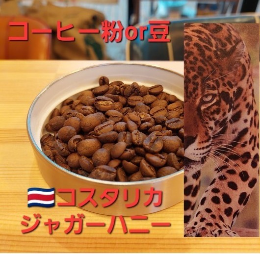コーヒー粉orコーヒー豆100g　ジャガーハニー