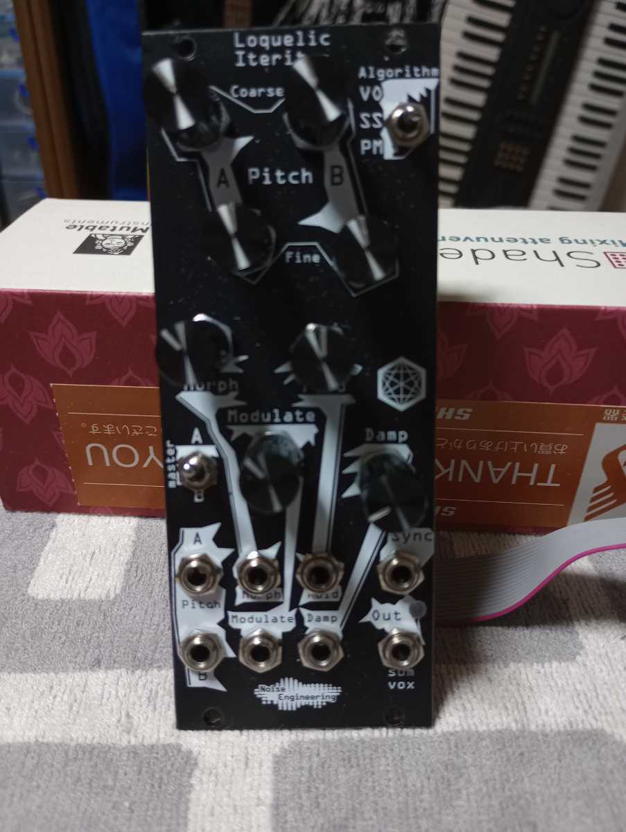 Noise Engineering Loquelic Iteritas【モジュラー】【ユーロラック