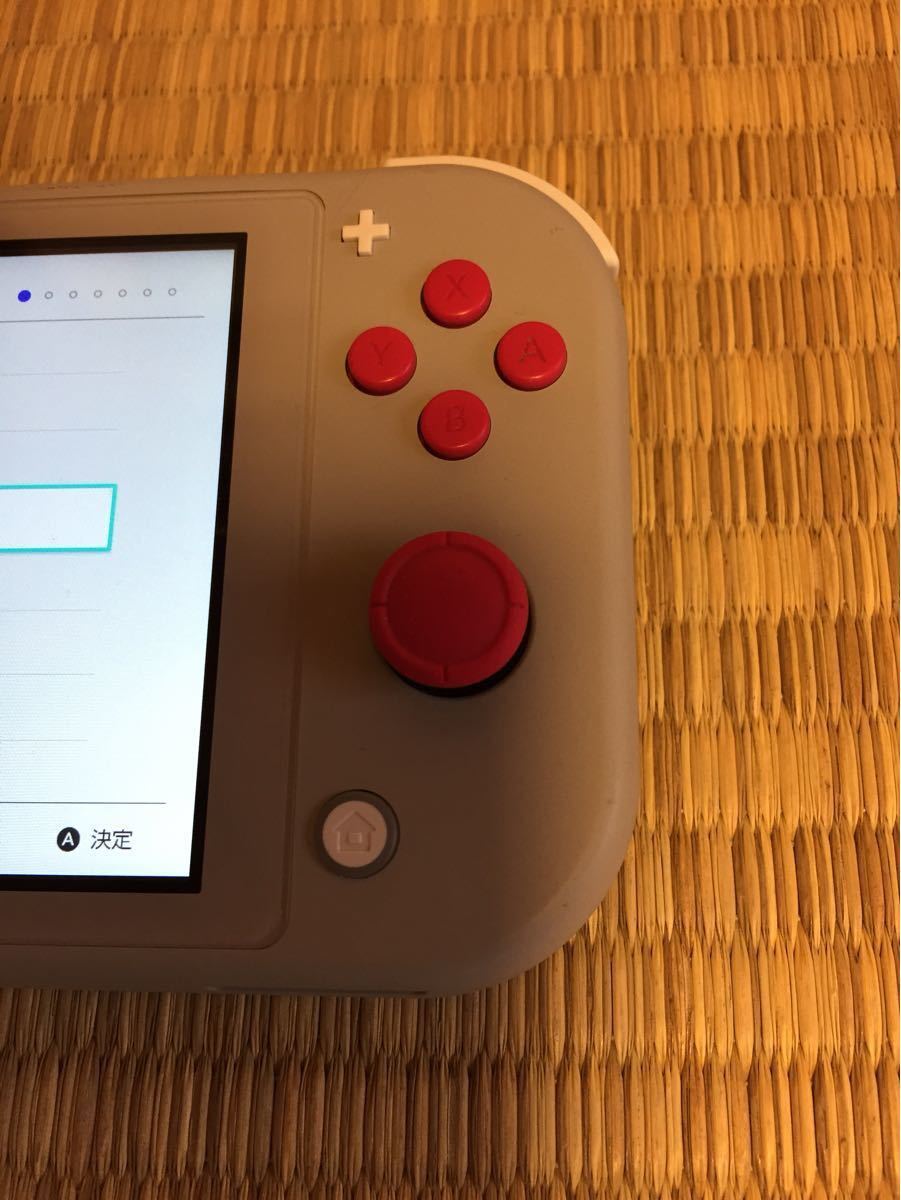 すぐに遊べる Nintendo Switch Lite ザシアン・ザマゼンタ ルイージマンション3 スーパーマリオ3Dコレクション