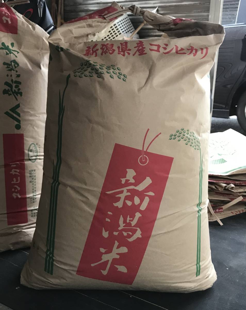 へのお てぃん様専用新米30年度産コシヒカリ20キロの通販 by NIKO's