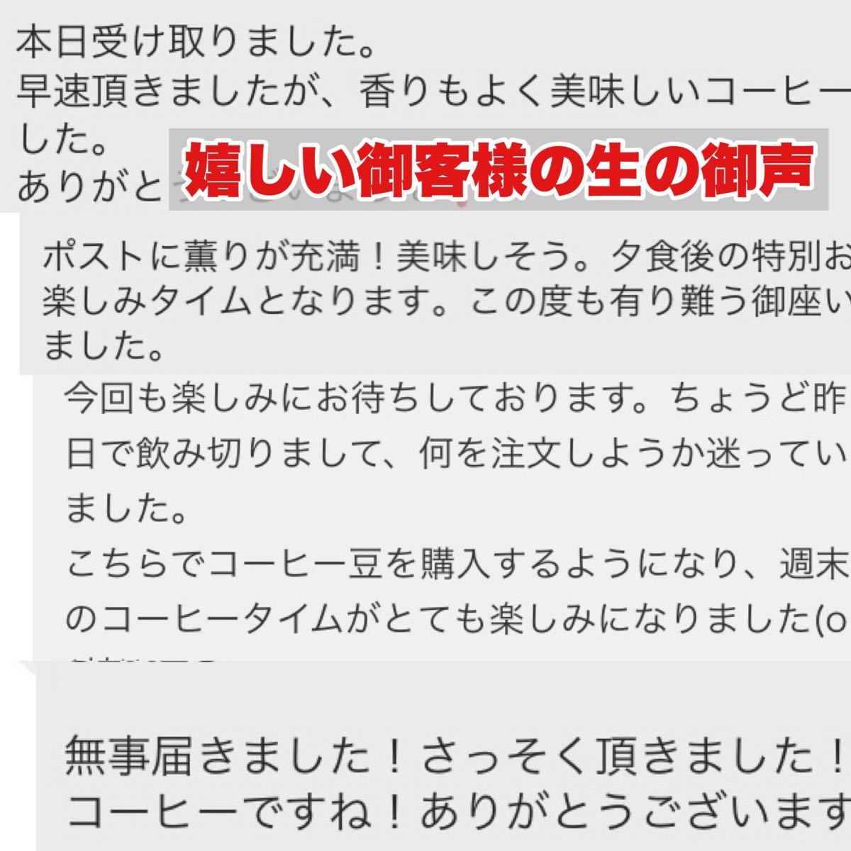 極上の旨みを誇る マンデリンロイヤル  スペシャル 珈琲豆 コーヒー 超濃厚 自家焙煎 厳選豆 最高級品種 飲む人を惹きつける魅力