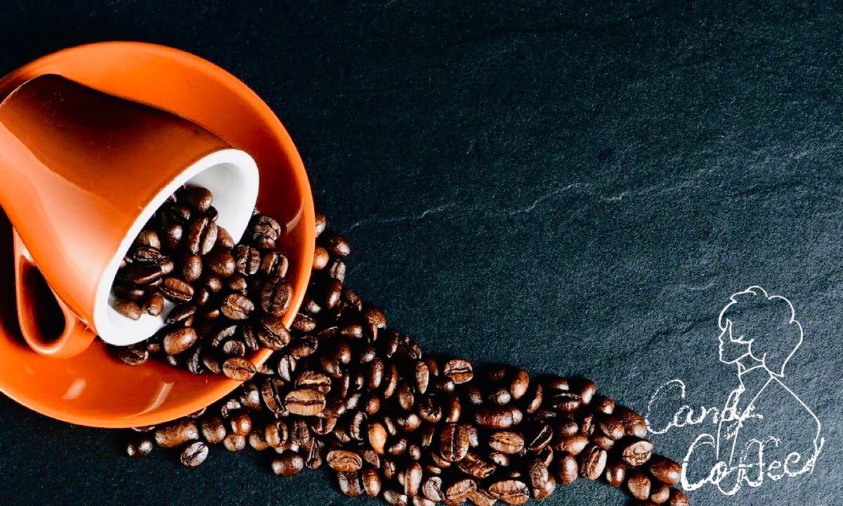 安心のカフェインレスコーヒー　デカフェ エチオピアモカ カフェインレスとは思えないコクと香り 美容 自家焙煎 珈琲豆 コーヒー豆　