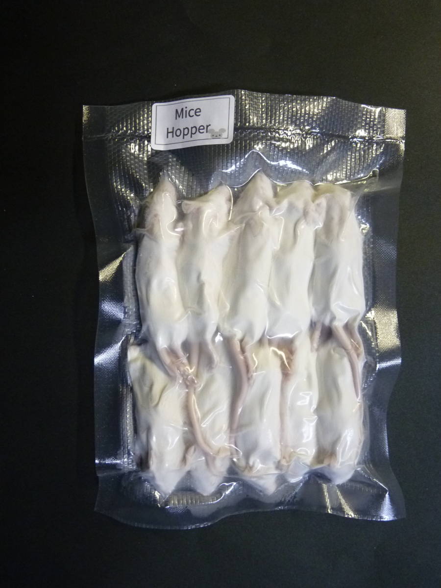 国産冷凍マウス ホッパー ２0匹(エサ)｜売買されたオークション情報、yahooの商品情報をアーカイブ公開 - オークファン（aucfan.com）