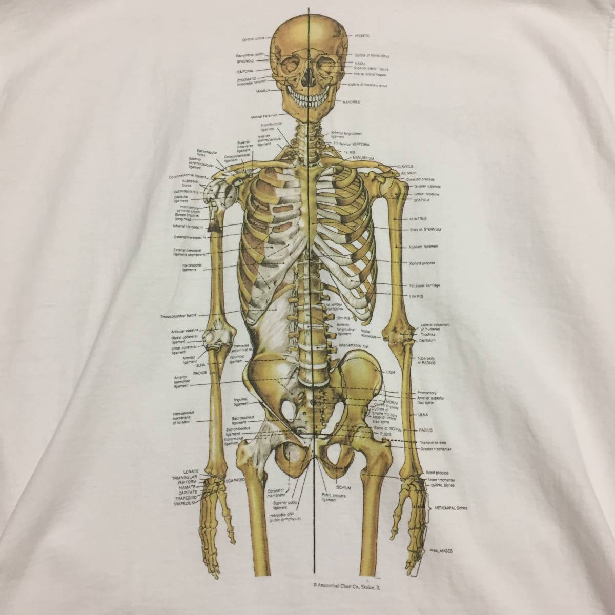 ビンテージ ヴィンテージ Tシャツ 解剖図 人体模型 アイボール NIRVANA