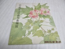 図録　『山口蓮春下図・模写・素描展』　　神奈川県立近大美術館　　昭和59年　　_画像1