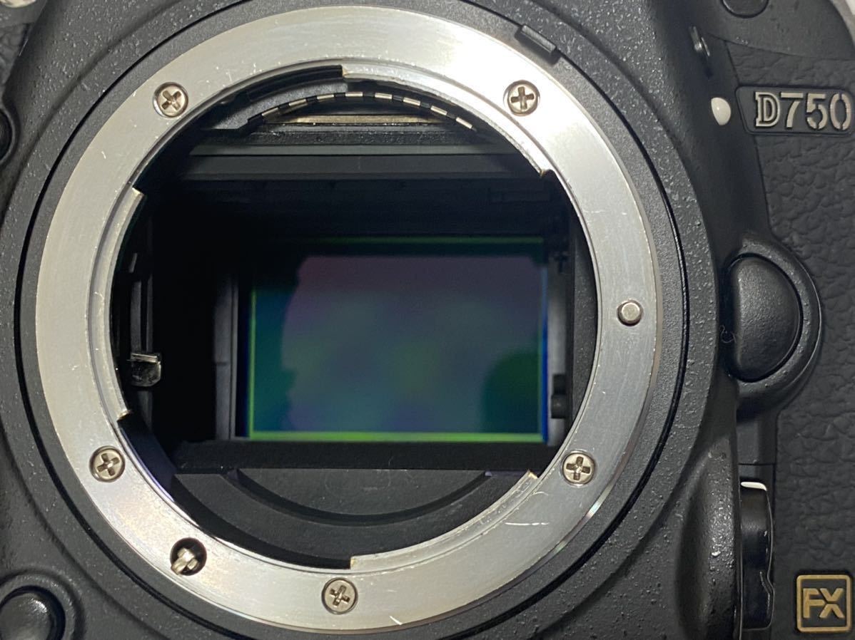 Yahoo!オークション - Nikon D750 美品ボディ+SIGMA 24-105mm f4 Yahoo!オークション - Nikon D750 美品ボディ+SIGMA 24-105mm f4