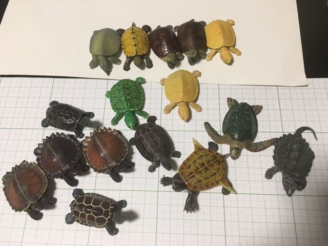 チョコQ チョコエッグ 原色爬虫類カメ目図鑑 スッポン ワニガメ ...