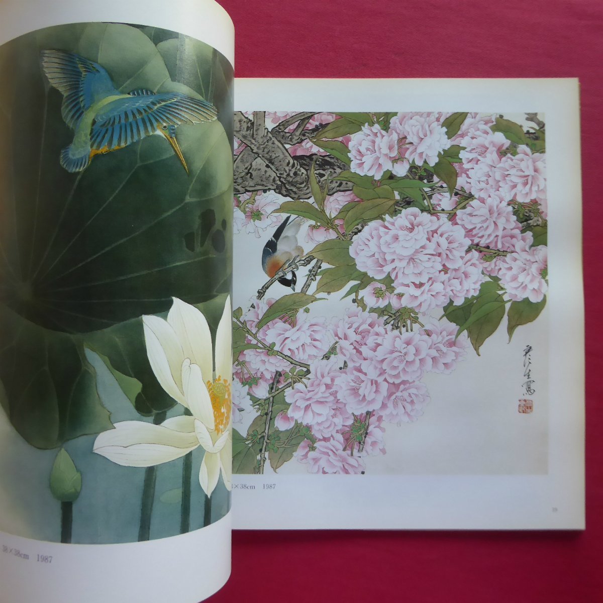 a13 llustrated book [.. natural flower bird book of paintings in print /* cigarettes smell equipped /. south fine art publish company *1997 year no. 5.]