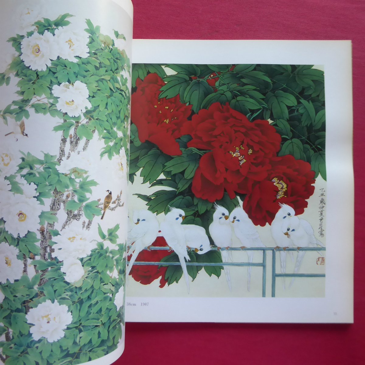 a13 llustrated book [.. natural flower bird book of paintings in print /* cigarettes smell equipped /. south fine art publish company *1997 year no. 5.]