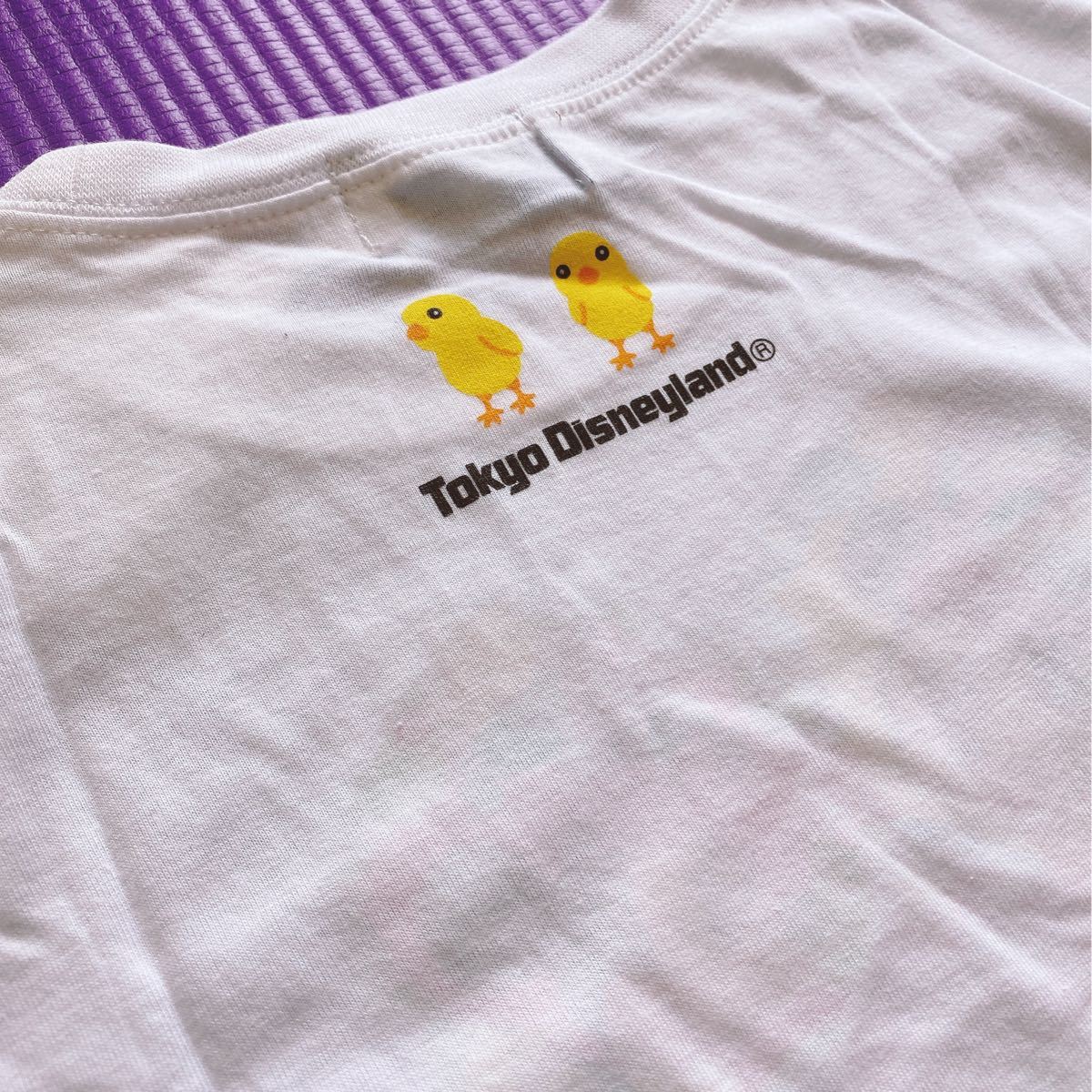 高級ブランド ディズニー イースター キッズ うさぴよ 半袖 Tシャツ