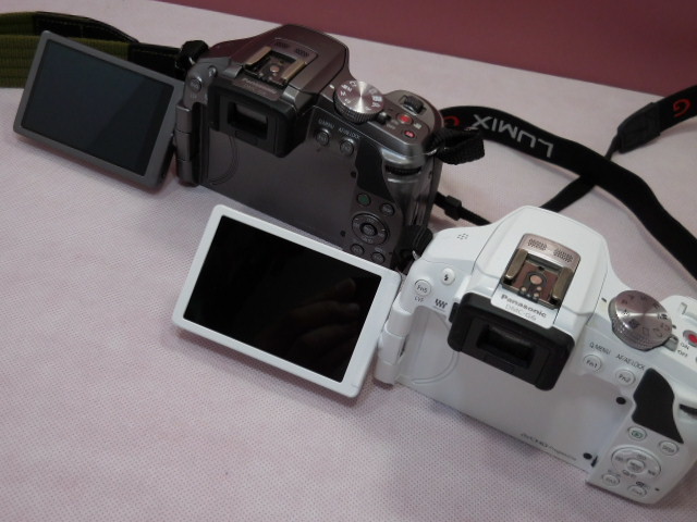2カメ セット 動作OK LUMIX DMC-G6 シルバー と ホワイト
