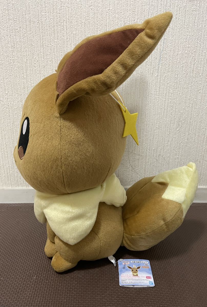 上品な ポケットモンスター めちゃでかコロっとまんまるぬいぐるみ つぶらなひとみ イーブイ Lacistitis Es 上品な ポケットモンスター めちゃでかコロっとまんまるぬいぐるみ つぶらなひとみ イーブイ Lacistitis Es