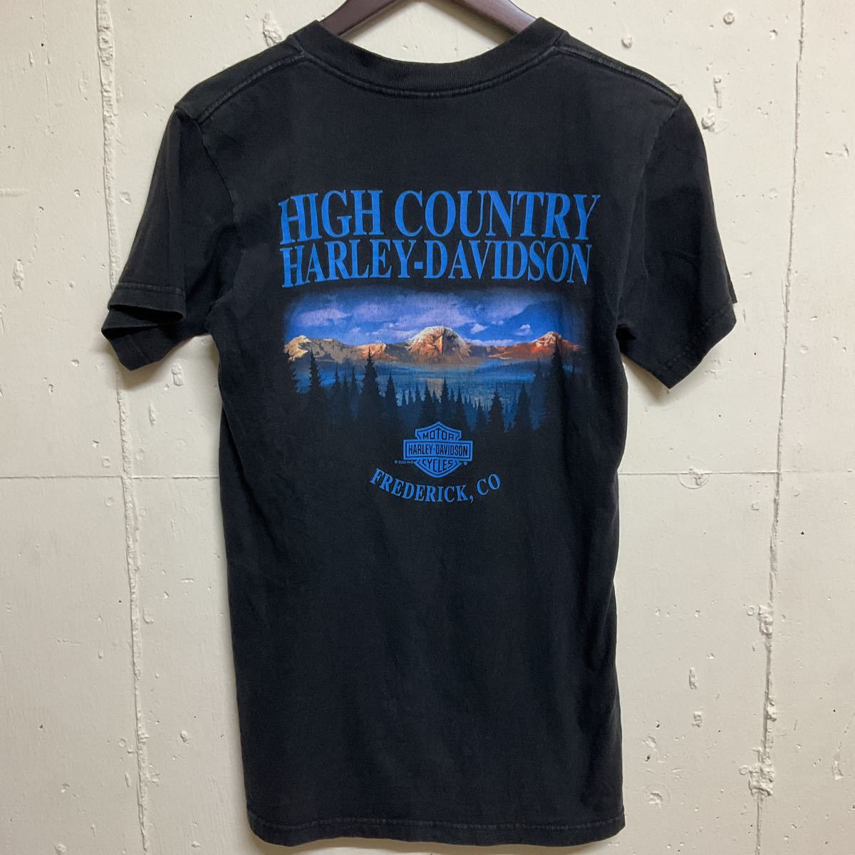 00年代 00s USA製 Harley-Davidson ハーレーダビッドソン 両面ロゴプリントTシャツ 古着 黒 S イーグル