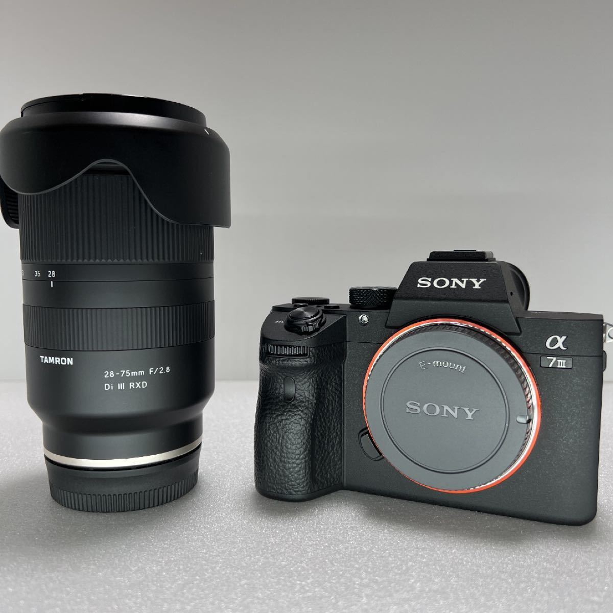 Sony α7Ⅲ TAMRON 28-75mm ボディレンズセット | www.jarussi.com.br
