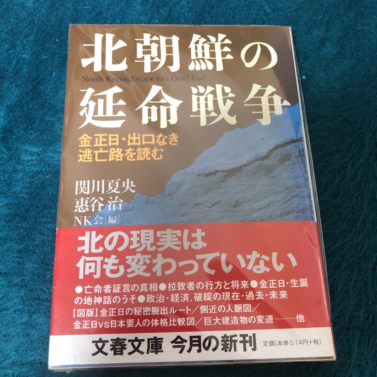 北朝鮮　関連本6冊　文庫本_画像2