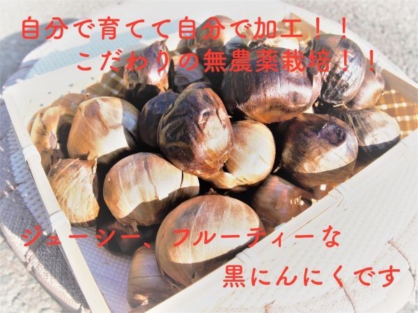 黒にんにく　岩手県産　無農薬　自家栽培自家加工　2kg　おまけ付き　即決 送料無料　黒ニンニク　にんにく　国産 4_画像1