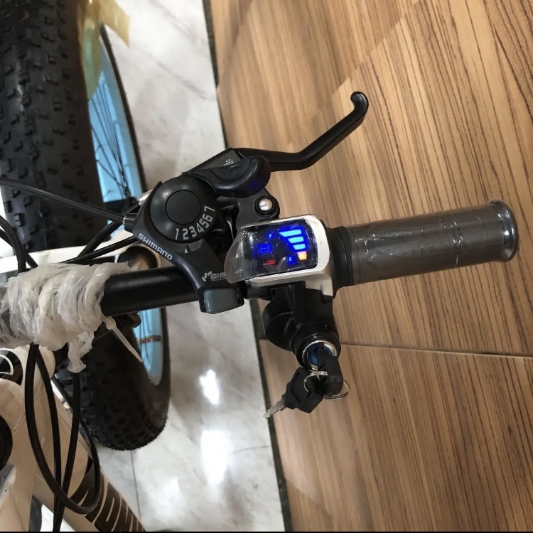 高級電動自転車 電動 ファットバイク ビーチクルーザー 自転車 ロード