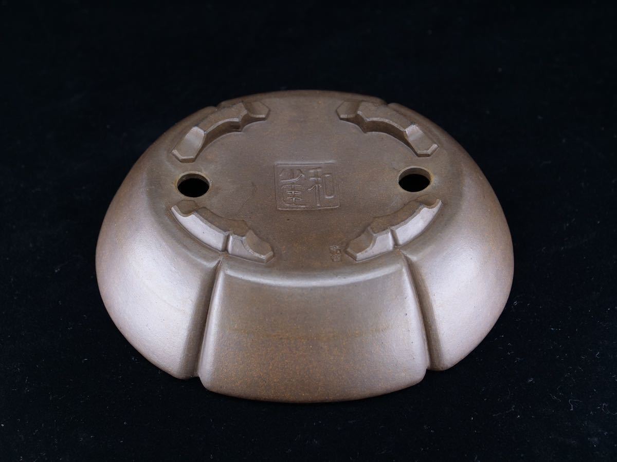 80%OFF!】 盆栽鉢 市橋和雀 希少品 早い者勝ち thecarestaff.com