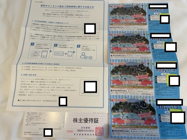同時購入特典付き 東京サマーランド　株主優待券4枚（有効期限：2022年9月25日） プール