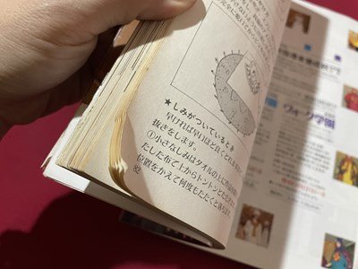 ｓ◎◎ 昭和61年 日本ヴォーグ社 はじめて編むレース編 わかりやすい基礎 書籍 ハンドメイド  /  C51の画像6