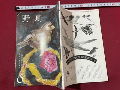 ｓ◎◎　昭和53年6月号　野鳥　顕彰記念特集号　日本野鳥の会　冊子　雑誌　書籍　 / 　K11_画像2