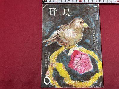 ｓ◎◎　昭和53年6月号　野鳥　顕彰記念特集号　日本野鳥の会　冊子　雑誌　書籍　 / 　K11_画像1