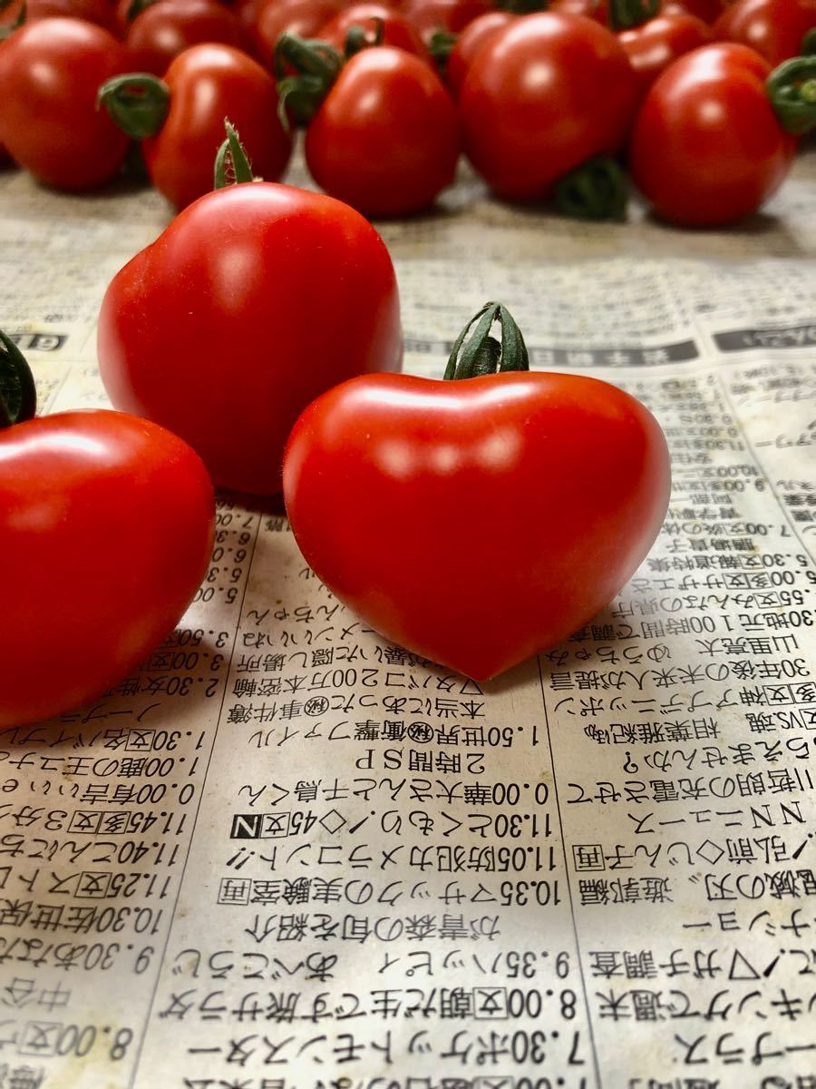 とまと様専用 - 通販 - guianegro.com.br