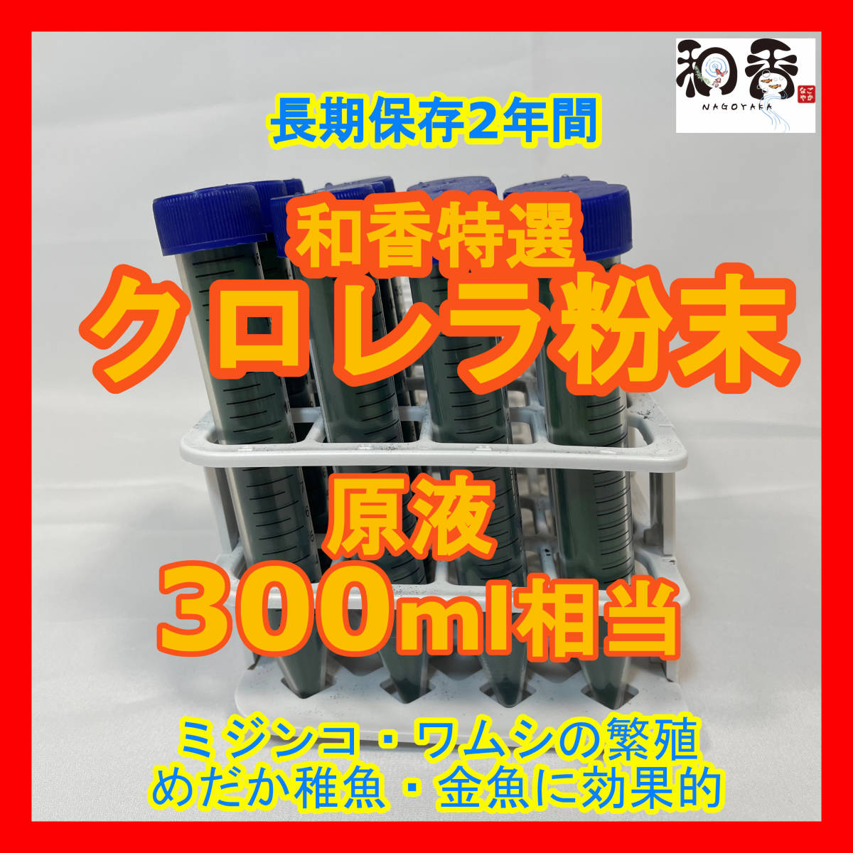 和香特選粉末生クロレラ300ml作成用★送料220円★ミジンコめだか金魚らんちゅうの餌針子稚魚の青水作 ワムシゾウリムシ生餌ミドリムシ_画像1