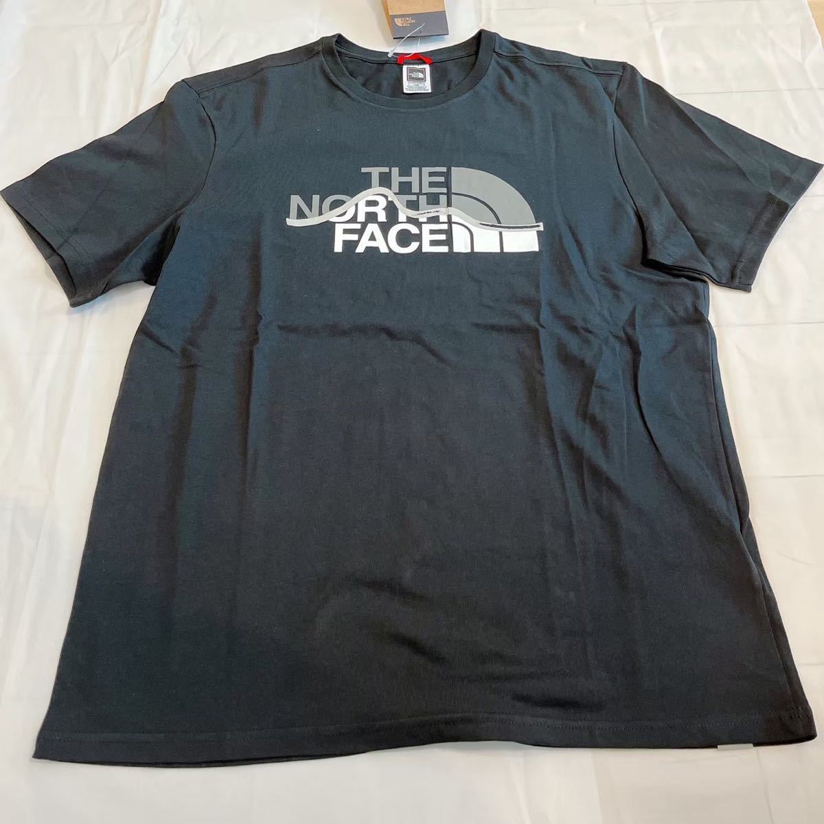 THE NORTH FACE 半袖Tシャツ ザノースフェイス ノースフェイスTシャツ EASY Logo ビッグロゴ 韓国　秋服