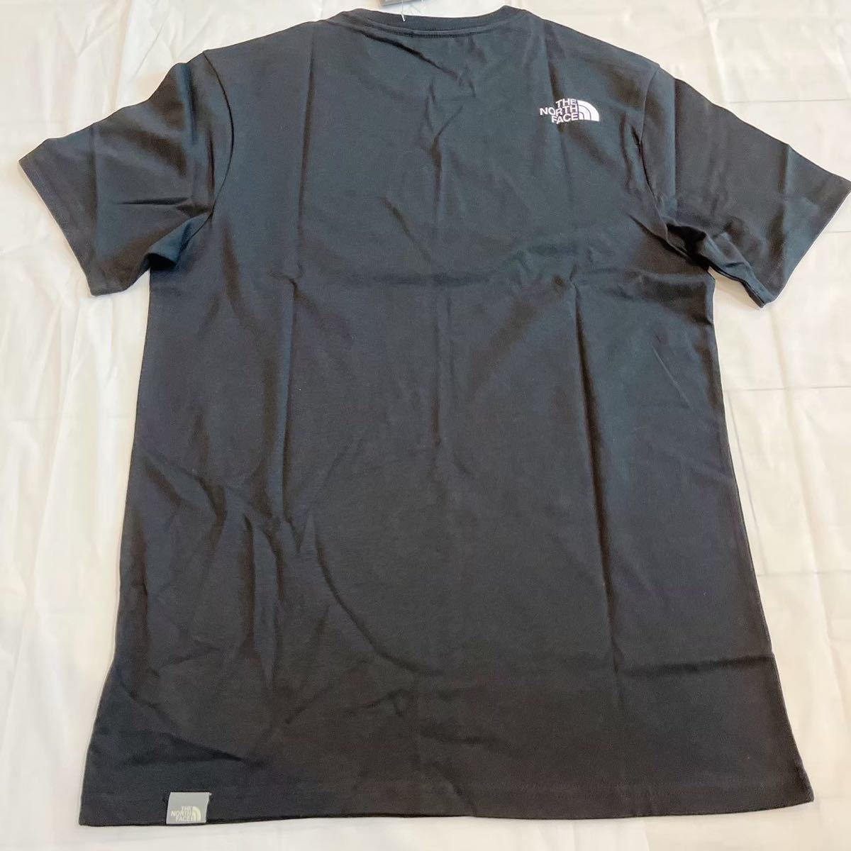 THE NORTH FACE 半袖Tシャツ ザノースフェイス ノースフェイスTシャツ EASY Logo ビッグロゴ 韓国　秋服