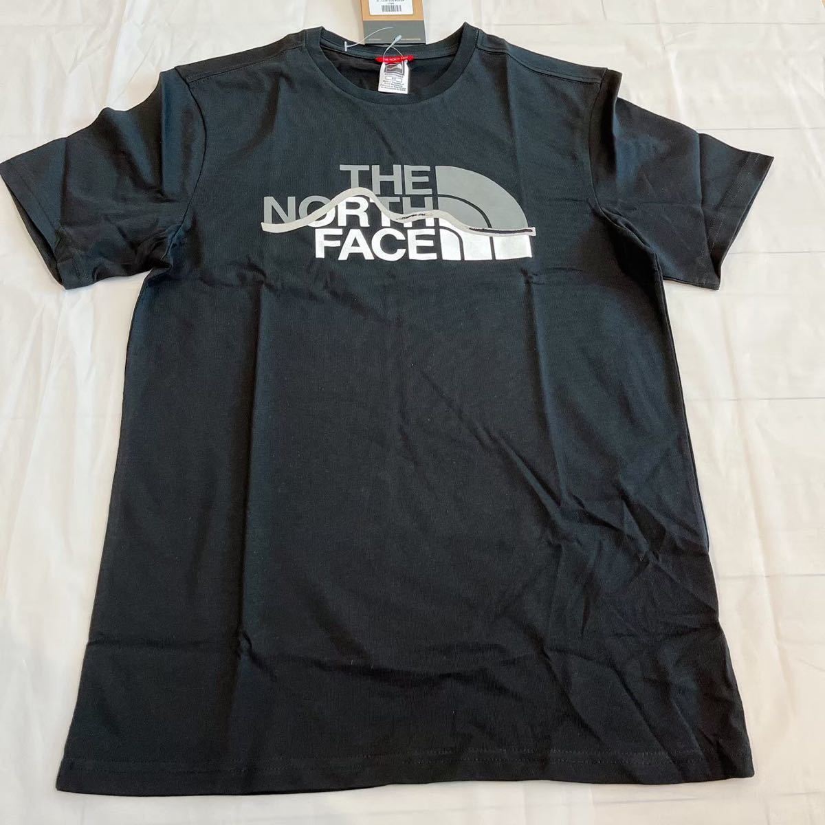 THE NORTH FACE 半袖Tシャツ ザノースフェイス ノースフェイスTシャツ EASY Logo ビッグロゴ 韓国　秋服