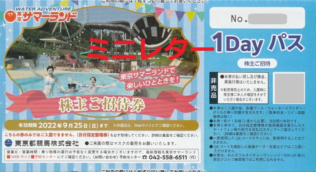 セール特価】 9月30日迄 4枚東京サマーランド 株主ご招待券 フリーパス優待券チケットプールの通販 by chika0527's shop｜ラクマ 