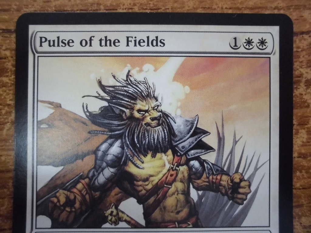 AWC323★MTG 原野の脈動/Pulse of the Fields 英語版1枚 マジック・ザ・ギャザリング_画像3