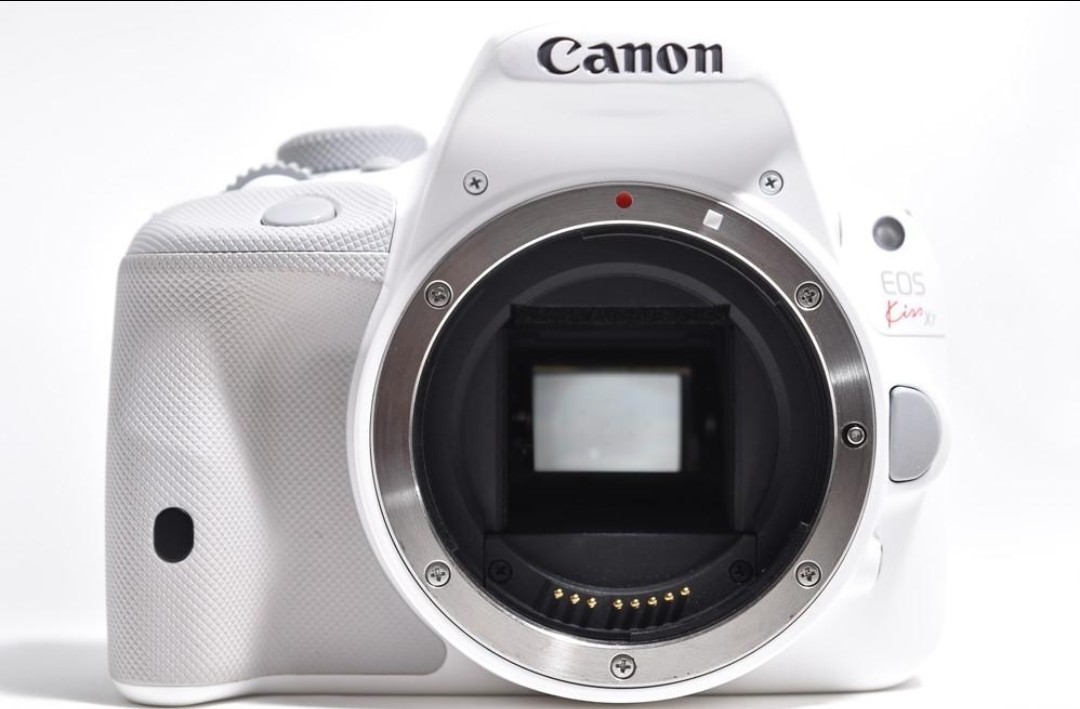 4月17日限定価格 Canon EOS Kiss X7 ホワイト レンズキット 4月17日限定価格 Canon EOS Kiss X7 ホワイト レンズキット