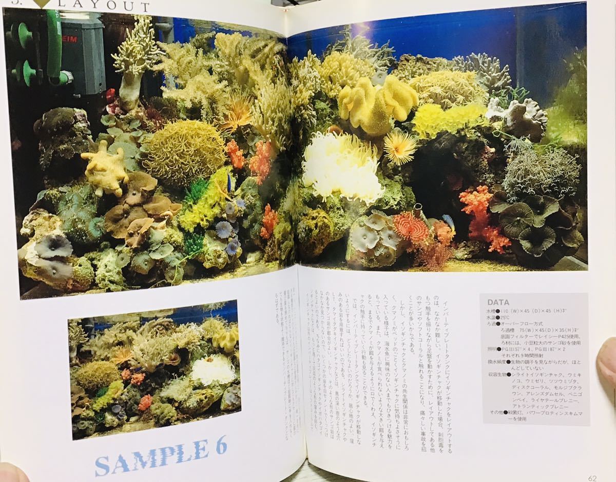  marine aquarium layout For your own invertebrate tank photograph * explanation Yoshino . regular price 4300 jpy 