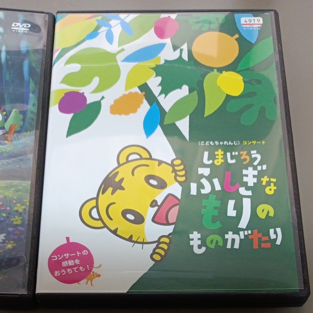 DVD ２枚セット　しまじろうとフフのだいぼうけん　しまじろう　ふしぎなもりの　ものがたり