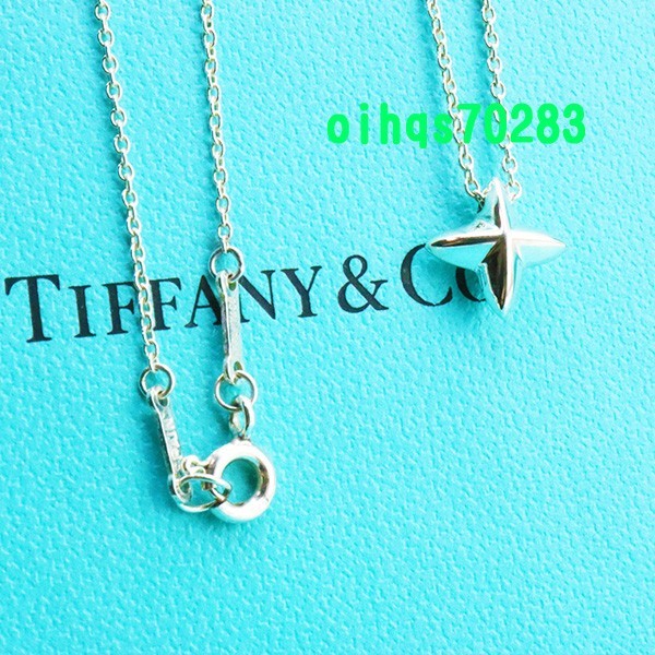 新品 未使用 TIFFANY &Co. ティファニー シリウスネックレス
