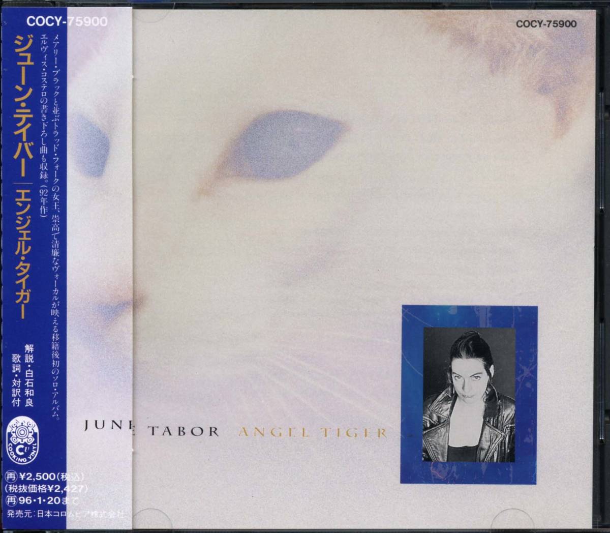 June TABOR★Angel Tiger [ジューン テイバー,QUERCUS,SILLY SISTERS]