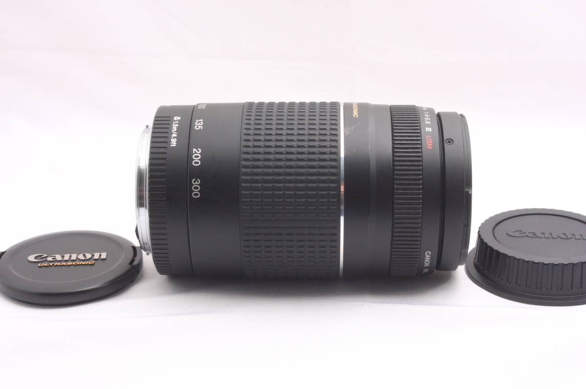 ★美品★完動品★名玉★超望遠レンズ★Canon EF 75-300mm F4-5.6 Ⅲ USM★キヤノン★純正FRキャップ付★#125_画像10