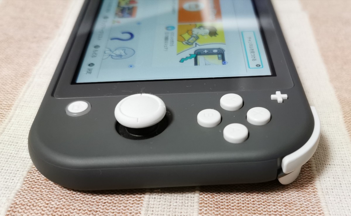 Nintendo Switch Lite Gray ／ ニンテンドー スイッチ ライト グレー色