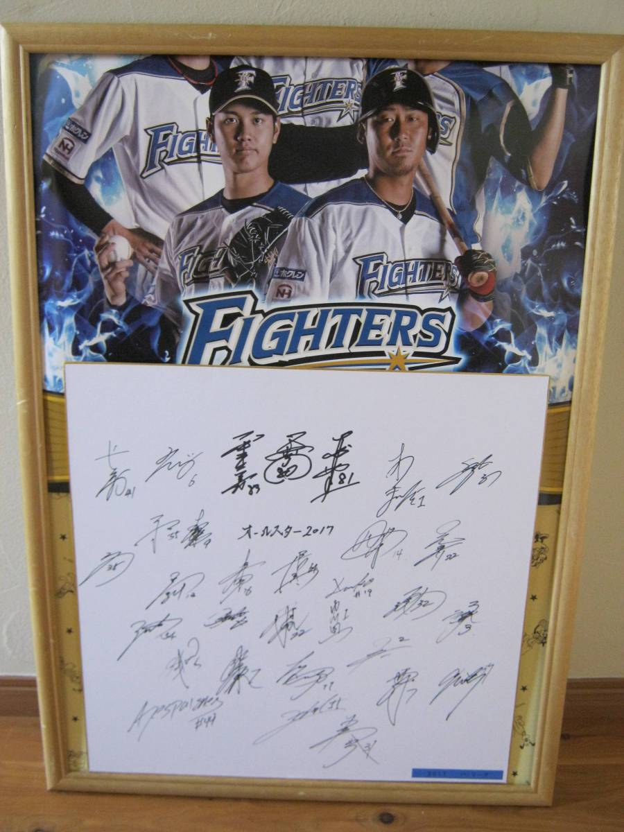 ソフトパープル 第30回日本プロ野球オールスターゲーム サイン寄せ書き | www.kdcow.com