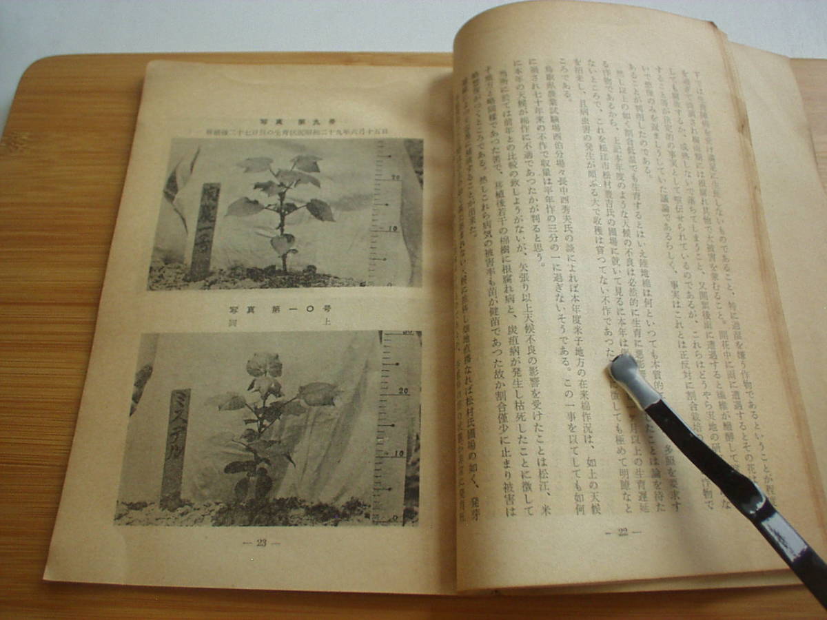 小冊子 是川式陸地棉栽培法の初年度試験成績と今後の見透し 是川 小冊子 是川式陸地棉栽培法の初年度試験成績と今後の見透し 是川