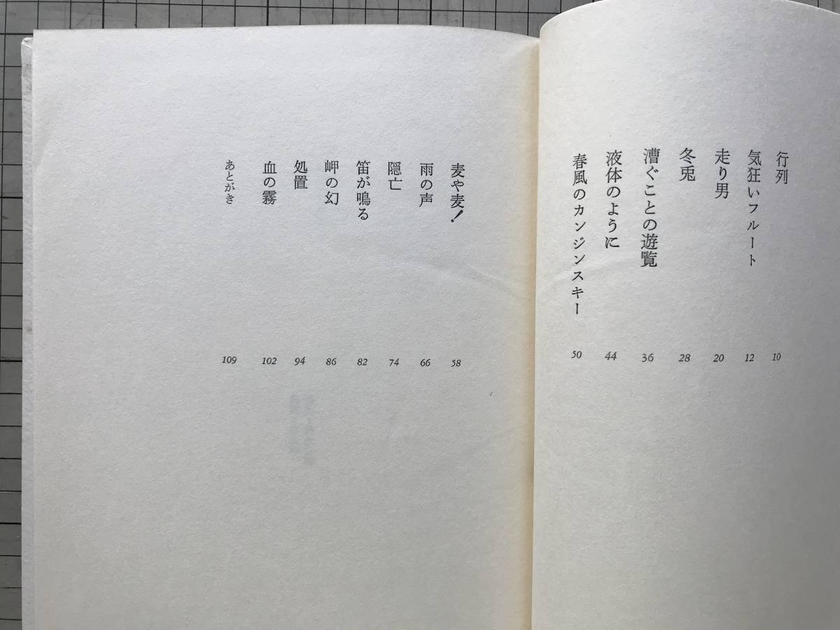 『詩集 気狂いフルート』佐々木幹郎 思潮社 1979年刊 ※詩人 失われた言葉を求めて 春風のカンジンスキー・冬兎・漕ぐことの遊覧 他 07342_画像3