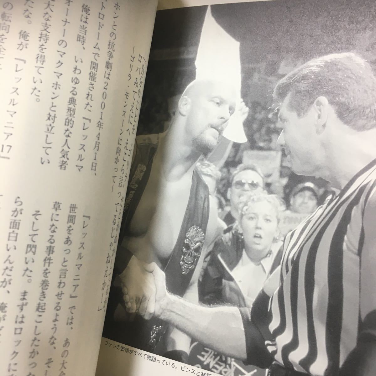 ☆本プロレス「WWE ストーンコールド トゥルース」スティーブオースチン自伝 WWFWCW新日本_画像8