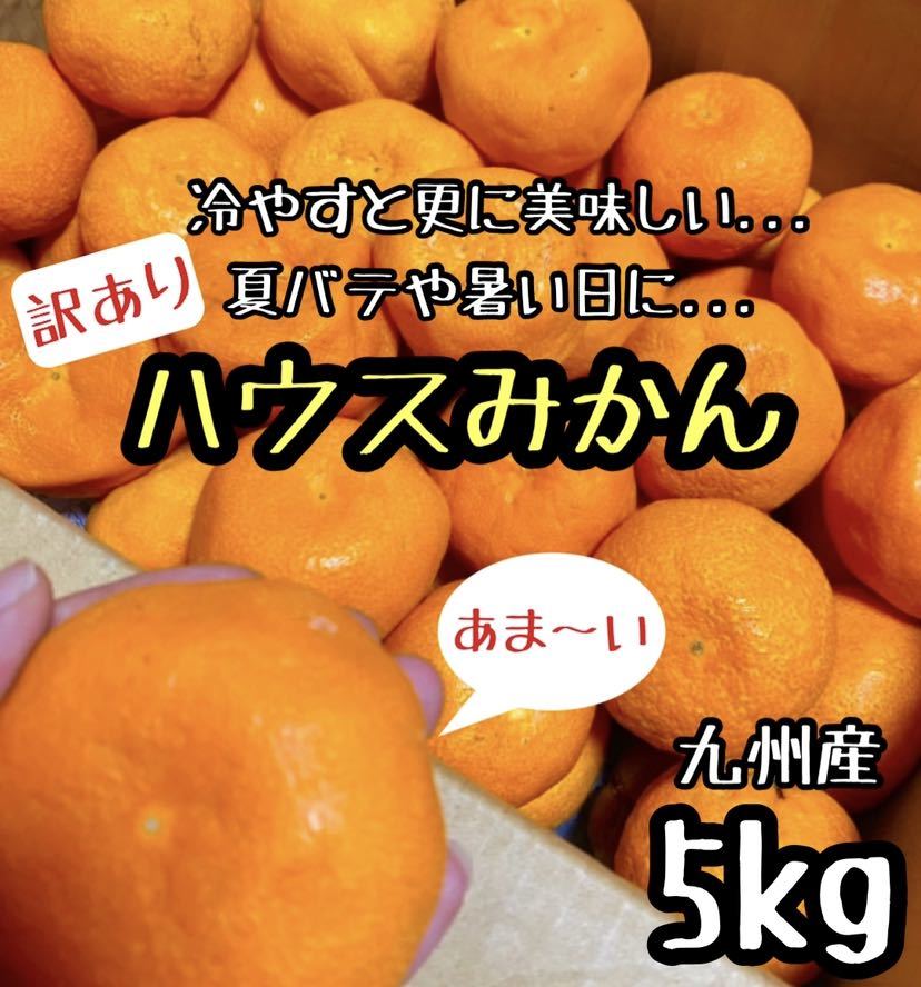 お買い得◎甘~い◎訳あり ハウスみかん 5kg 5_画像1