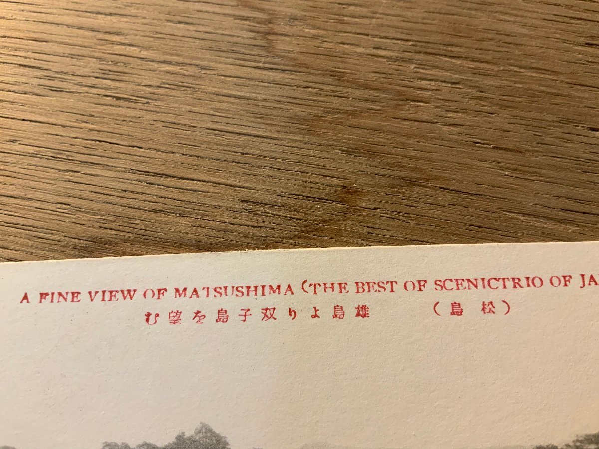 PP-5809 ■送料無料■ 宮城県 松島 雄島より双子島 島 日本三景 風景 景色 名所 陸奥 絵葉書 写真 印刷物 古写真/くNAら_画像4