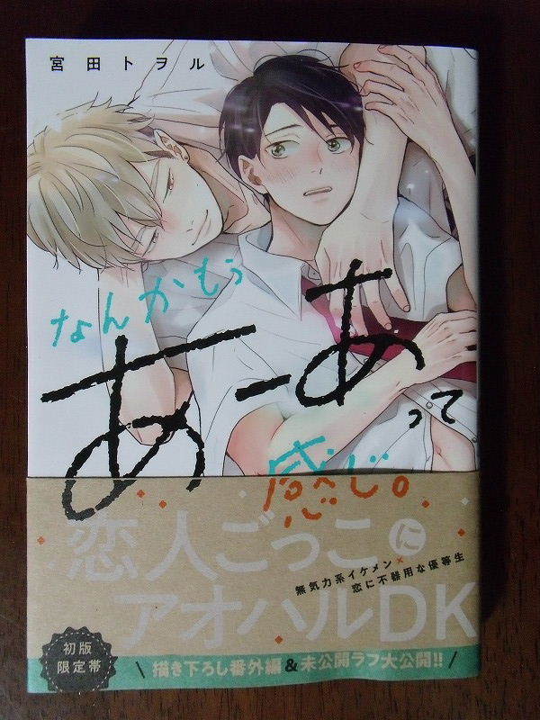 宮田トヲル『なんかもうあーあって感じ。』●初版限定帯あり/三交社 デイジーコミックス _画像1